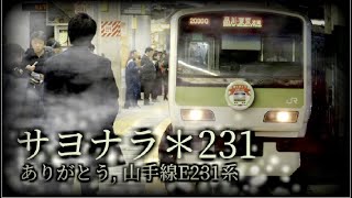 サヨナラ＊231【山手線E231系ありがとう】 [upl. by Kammerer483]