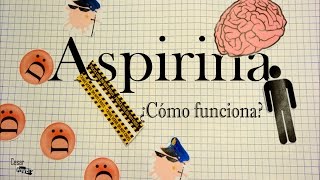 Identificación de grupos funcionales  Química  Khan Academy en Español [upl. by Jeffery]