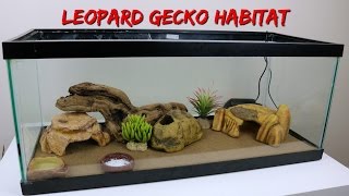 Gecko Care Tips for Pet Owners [upl. by Troyes]