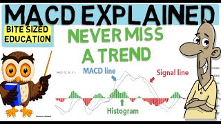 MACD INDICATOR EXPLAINED Trade with the trend [upl. by Atinahs]