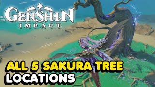 All 5 Sakura Tree Locations In Genshin Impact Sakura Arborism World Quest Guide [upl. by Colier610]