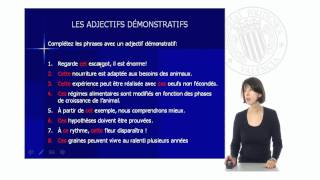 Les Adjectifs Démonstratifs   UPV [upl. by Aelaza298]