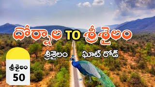 Dornala to Srisailam Ghat Road journey  nallamala forest  srisailam temple  Pasupuleti777 [upl. by Atinob]