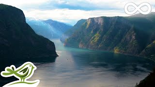 Beautiful Relaxing Music • Norwegian Nature amp Violin Flute Piano amp Harp Music [upl. by Nilyaj]