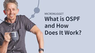 What is OSPF and How Does It Work [upl. by Aicitan573]