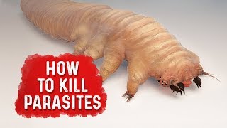 How To Kill Parasites  Dr Berg [upl. by Neelie]