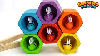 Preschool Learning Video with Lots of Fun Educational Toys [upl. by Mainis]