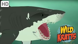 Wild Kratts  The Majestic Sea Creature  Shark Life  Kids Videos [upl. by Yatnahc717]