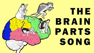 Parts of the Brain Song [upl. by Lezirg]