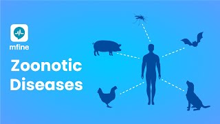 Zoonotic Diseases  Diseases that are Passed from Animals to Humans  MFine [upl. by Ellekcim441]