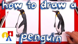 How To Draw A Realistic Emperor Penguin [upl. by Ahsait875]