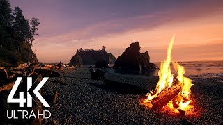 8 Hours 4K Campfire On Beach  Crackling Fire with Ocean Waves Sounds [upl. by Perrins]