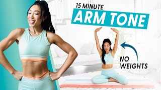 15 Minute Arm Burnout weightless upper body workout [upl. by Phelia]