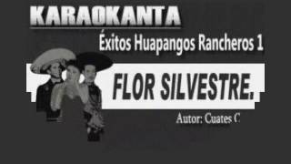 Karaoke Flor Silvestre en Gm [upl. by Litman]