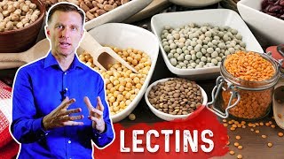 Lectins and Autoimmune Conditions [upl. by Eirruc874]