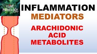 INFLAMMATION Part 5 Chemical Mediators ARACHIDONIC ACID METABOLITES [upl. by Cohn954]