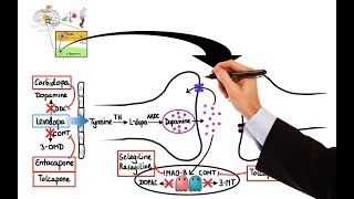 Pharmacology  DRUGS FOR PARKINSONS DISEASE MADE EASY [upl. by Lehcear]