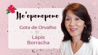 HO’OPONOPONO  Ferramentas de Limpeza Gota de Orvalho amp Lápis Borracha  Silvia Sayuri Morita 56 [upl. by Mayram]