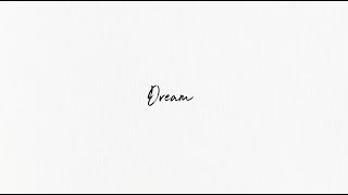 Shawn Mendes  Dream Lyric Video [upl. by Yotal]