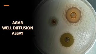 Agar well diffusion assay [upl. by Nelram]