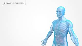 The Complement System [upl. by Merlina]