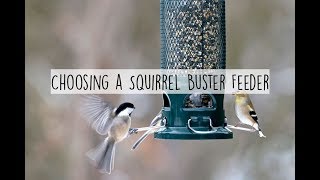 Choosing A Squirrel Buster Bird Feeder [upl. by Atiekan]