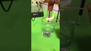 Electrolysis of Sodium Chloride [upl. by Montanez]