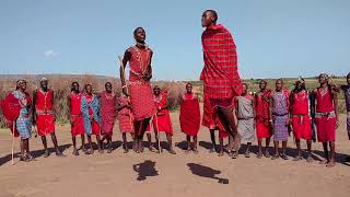 Maasai jumping contest [upl. by Sasnak]