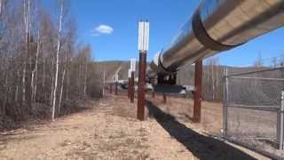 Trans Alaska Oil Pipeline Tour [upl. by Leugar]