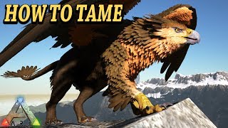 ARK GRIFFIN HOW TO TAME ATTACKS BREEDING amp MORE Ark Survival Evolved Griffin Ragnarok DLC [upl. by Nahtnaoj]