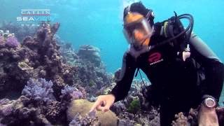 Seaview Science Video Coral Polyps [upl. by Amsed600]