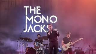 The Mono Jacks Umeri aurii Flight Festival 2024 Timisoara [upl. by Cohlette]