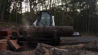 20” Log VS Halverson Wood Processor HWP140b [upl. by Eelarual]