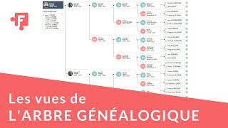 Les différentes vues de larbre généalogique [upl. by Arayt]