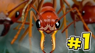 Ant Simulator  Empires Of The Undergrowth  Ep1 [upl. by Orelu8]