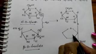 Disachharides Sucrose Maltose and Lactose Chemistry [upl. by Doownil]