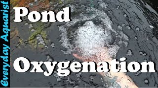 How To Aerate amp Oxygenate Your Pond [upl. by Medardas144]