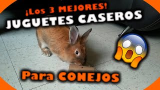 JUGUETES CASEROS para CONEJOS ✅ ▷ FÁCILES de HACER 🐰 [upl. by Banerjee]