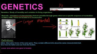 Gr 12 Life Sciences Genetics and Inheritance Part 1 [upl. by Ahsimed405]