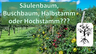 Die 4 Baumformen  Säulenbaum Buschbaum Halbstamm und Hochstamm [upl. by Aitnic]