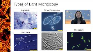 Types of Light Microscopy [upl. by Ringe239]