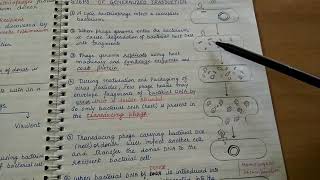 Transduction Genetic recombination in bacteria [upl. by Yadroc]