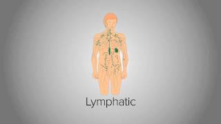 Organ System Overview [upl. by Melnick]