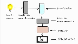 Fluroscence spectroscopy  flurometry spectroflurometry [upl. by Dlonyar153]