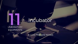 Incubator [upl. by Eisenhart]