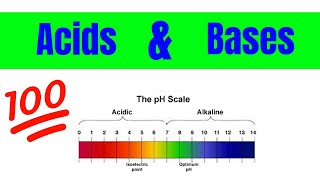 Properties of Acids and Bases  The Basics [upl. by Wadsworth]