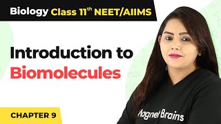 Introduction to Biomolecules  Class 11 Biology [upl. by Helbonna]