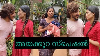 അയക്കൂറ MEETH MIRI [upl. by Aennaej837]