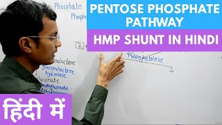 Pentose Phosphate Pathway  Hexose Monophosphate Shunt in Hindi [upl. by Gniw]