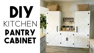 DIY Kitchen Pantry Cabinet [upl. by Assertal]